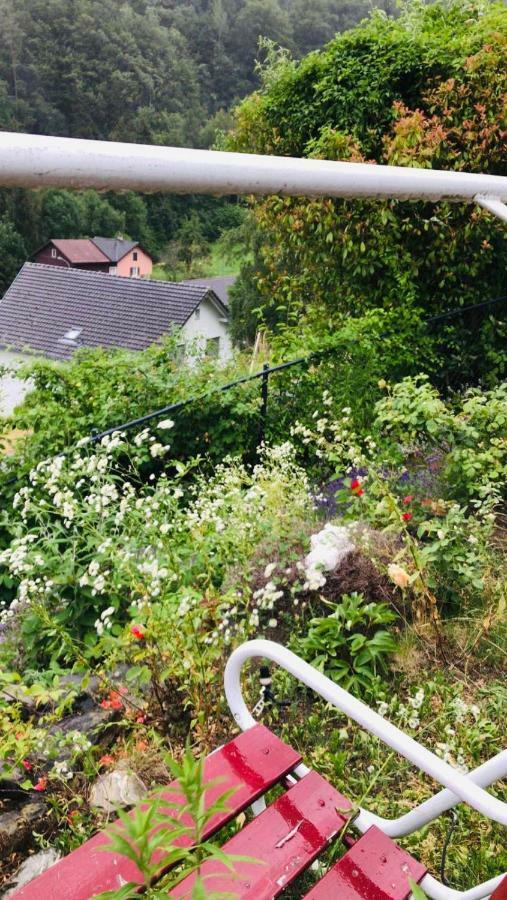 Alpen Panorama View Luxury House With Green Garden Buchs  Exteriér fotografie
